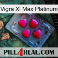 Vigra Xl Max Platinum 13